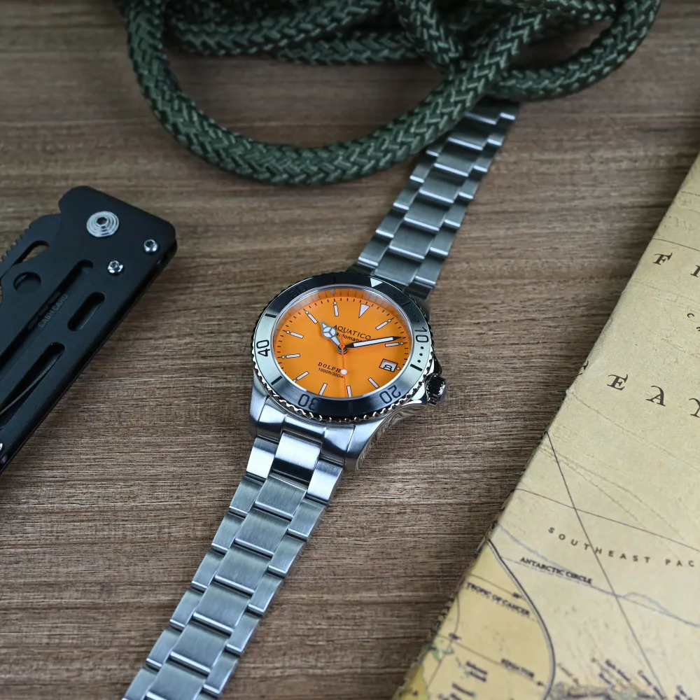 Aquatico Dolphin 38mm Orange Dial Watch