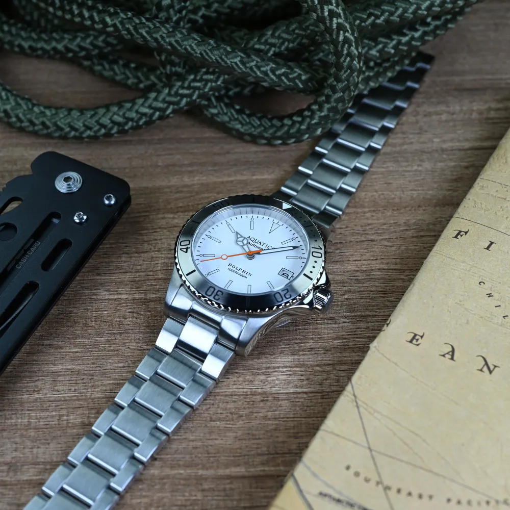 Aquatico Dolphin 38mm Dive Watch White Dial (NH35)