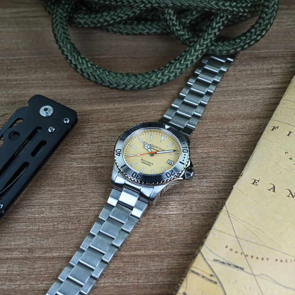 Aquatico Dolphin 38mm Dive Watch Cream Dial (NH35)